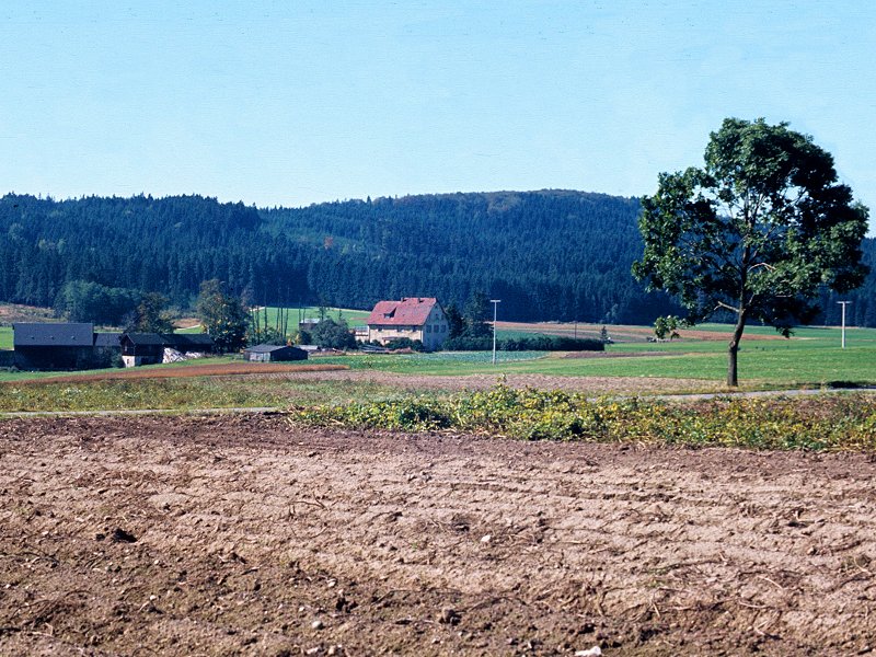 Reicholdsgrün im Fichtelgebirge