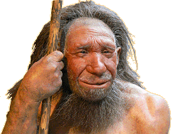 Neandertaler - Neanderthal-Museum