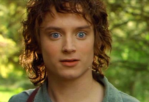 Der Herr der Ringe: Elijah Wood als Frodo Beutlin