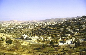 Landschaft südlich Jerusalem