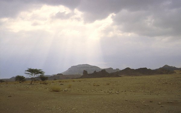 Wüste Negev