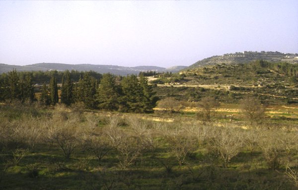 Landschaft westlich Jerusalem