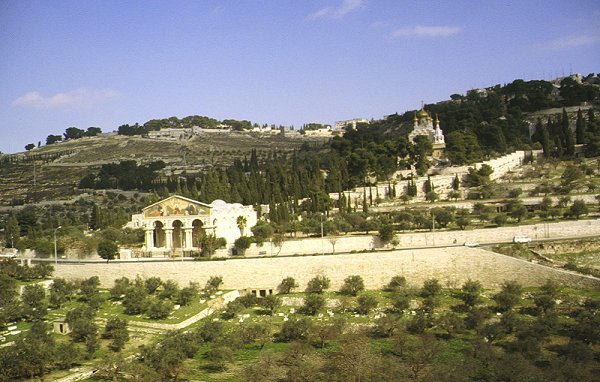 Jerusalem Olberg Mit Garten Gethsemane