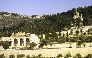 Jerusalem, Garten Gethsemane