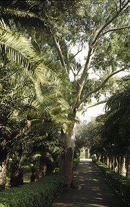 Haifa, Baha'i-Gärten