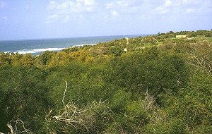 Ashqelon, archäologischer Park