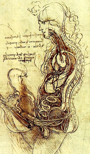 Anatomie des Geschlechtsakts - Leonardo da Vinci