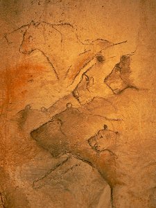 Höhlenmalereien aus der Grotte Chauvet in Südfrankreich