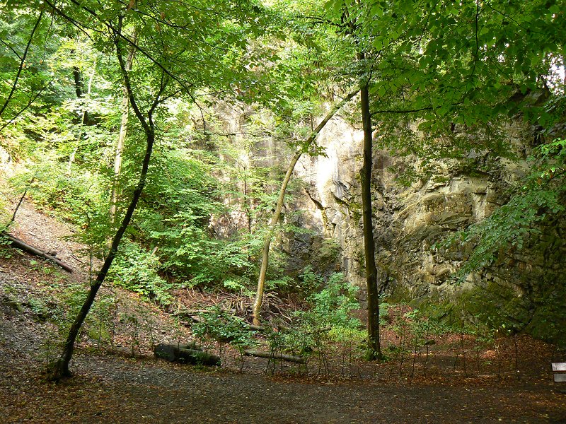 Im Neandertal bei Düsseldorf