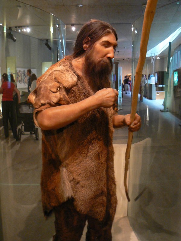 Neandertaler im Neanderthal-Museum bei Düsseldorf