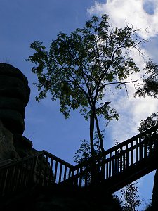 Burgruine Weißenstein im Steinwald