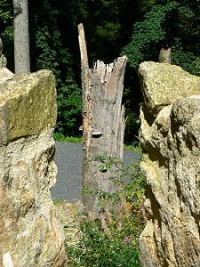 Wieder errichtete Wehrmauern