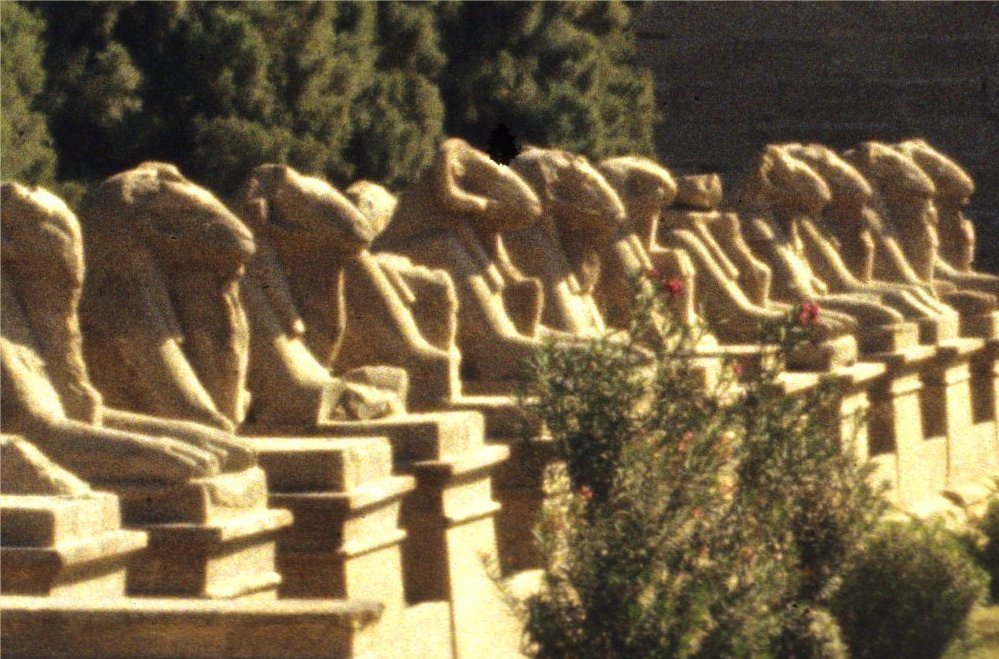 Frühlingssternbild Widder in Ägypten
