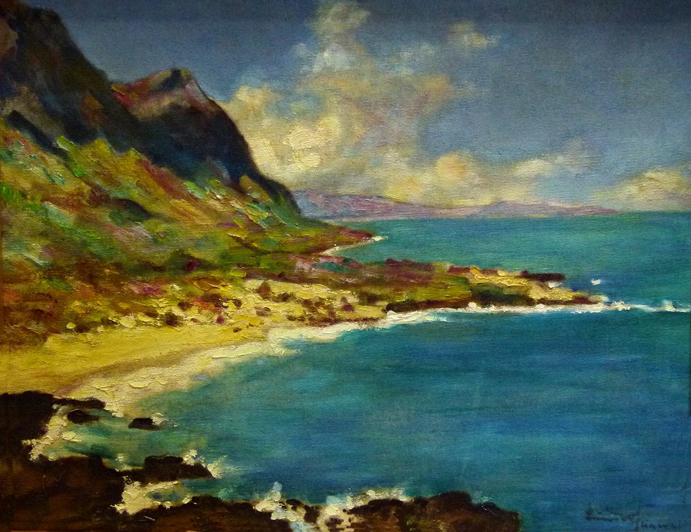 K�ste mit Vulkangestein auf Hawaii