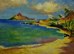 Küste von Hawaii mit vorgelagerter Insel